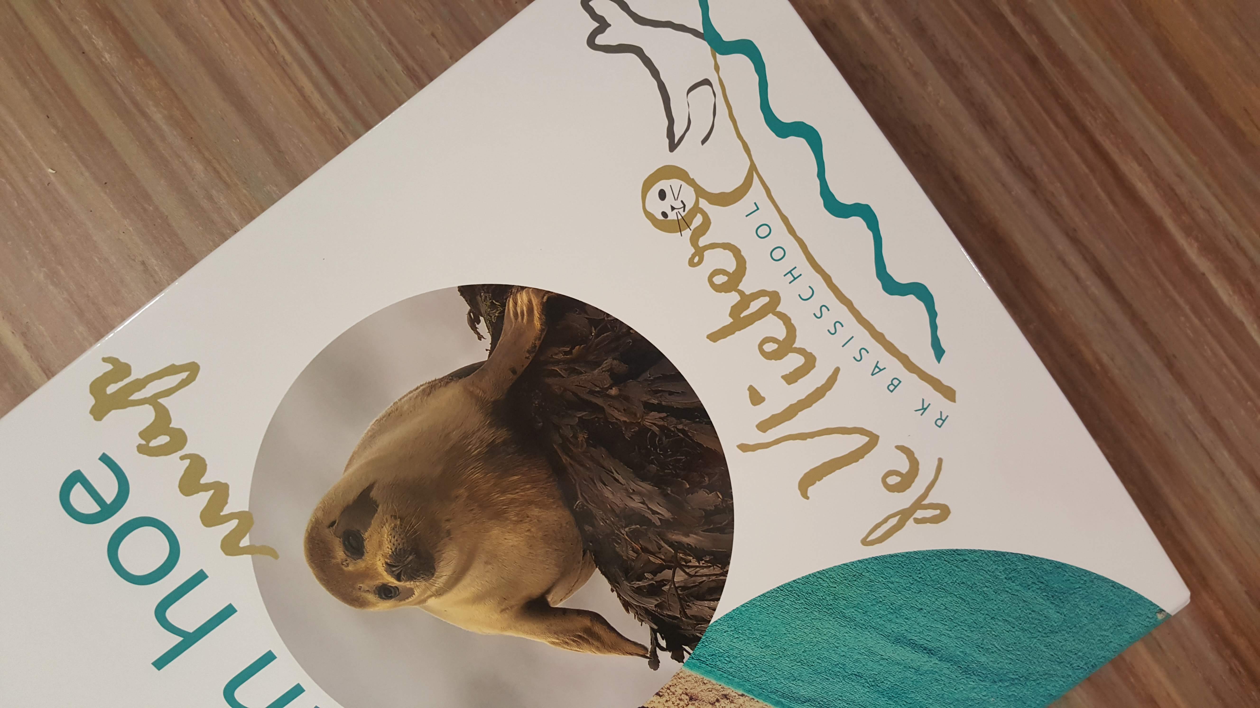 Rapport en voortgangsgesprekken