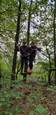 IMG-20190508-WA0042