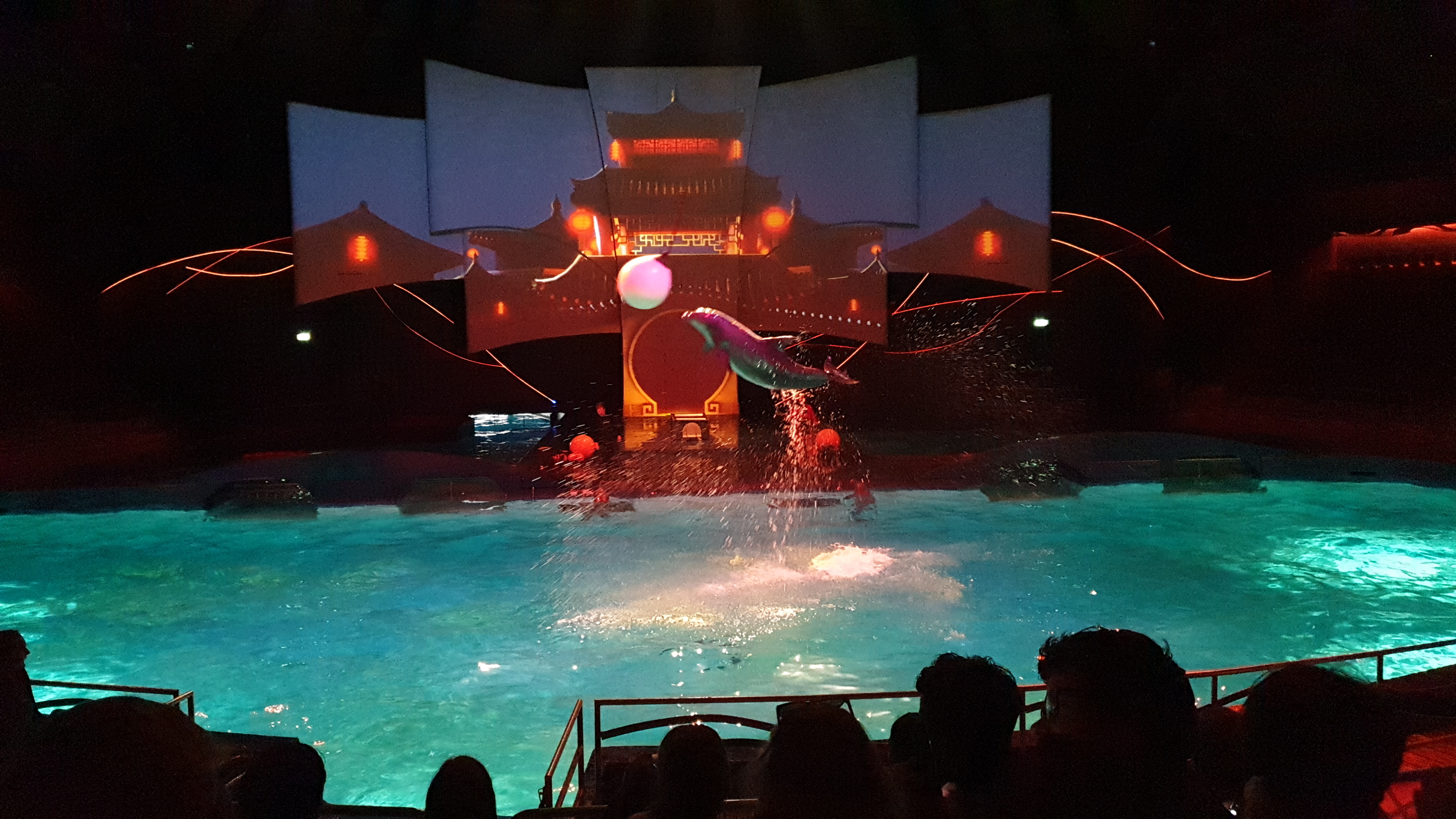 Schoolreisje naar Dolfinarium 