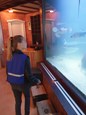 20190517_113131