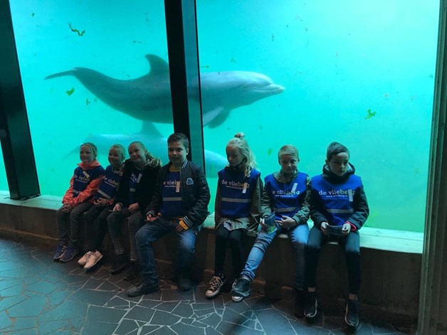 IMG-20190517-WA0009