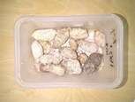 IMG_20191105_104159