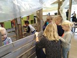 IMG_20191119_104840