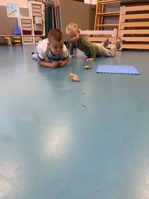 IMG_6368